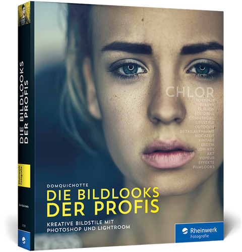 Die Bildlooks der Profis -  DomQuichotte