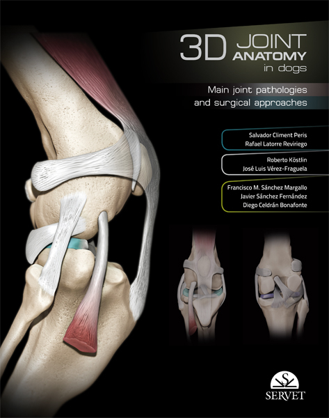 3D Joint anatomy in dogs - Salvador Climent Peris, Rafael Latorre Reviriego, Roberto Köstlin, José Luis Vérez-Fraguela, Francisco Miguel Sánchez Margallo, Javier Sánchez Fernández, Diego Celdrán Bonafonte