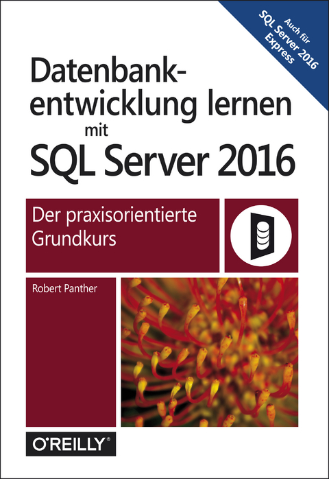 Datenbankentwicklung lernen mit SQL Server 2016 -  Robert Panther