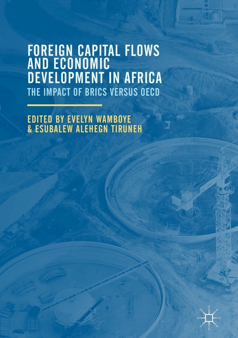 Foreign Capital Flows and Economic Development in Africa - 