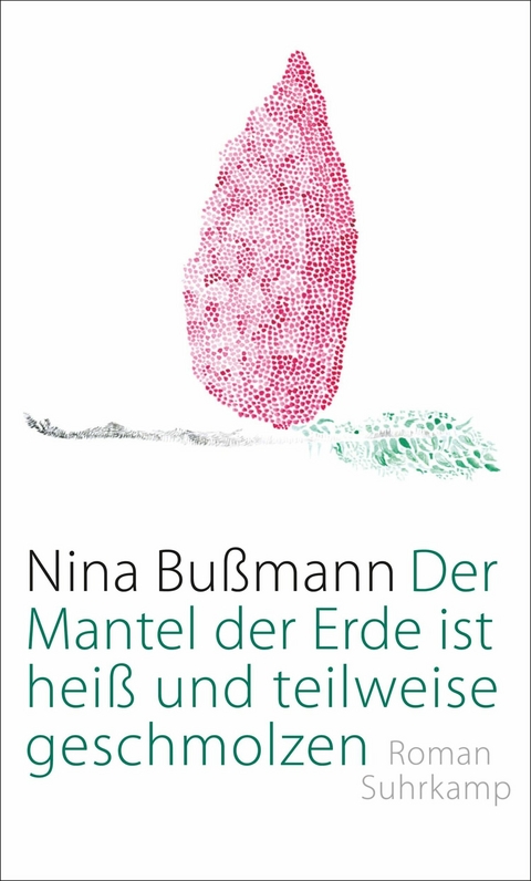Der Mantel der Erde ist heiß und teilweise geschmolzen -  Nina Bußmann