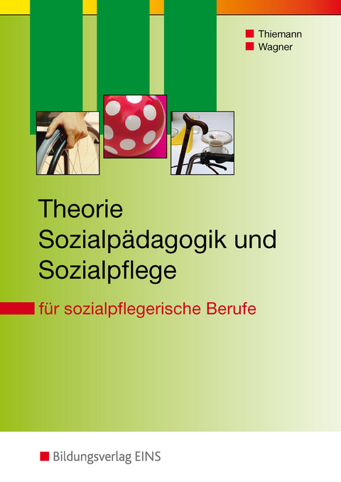 Theorie Sozialpädagogik und Sozialpflege - Meinolf Thiemann, Iris Wagner