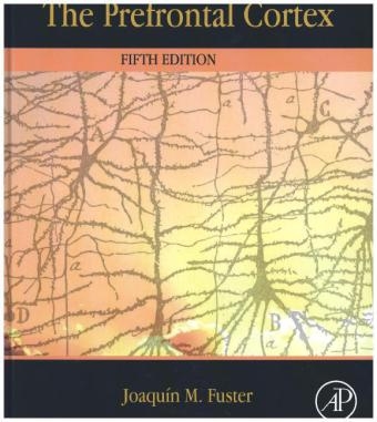 The Prefrontal Cortex - Joaquin Fuster