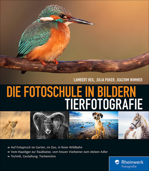 Die Fotoschule in Bildern. Tierfotografie -  Lambert Heil,  Julia Poker,  Joachim Wimmer