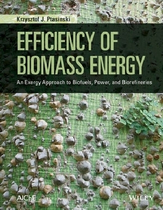 Efficiency of Biomass Energy - Krzysztof J. Ptasinski