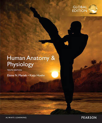 Human Anatomy & Physiology, (Hardback), Global Edition - Elaine Marieb, Katja Hoehn