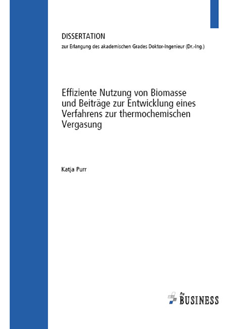 Effiziente Nutzung von Biomasse und Beiträge zur Entwicklung eines Verfahrens zur thermochemischen Vergasung - Katja Purr