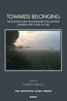 Towards Belonging - 