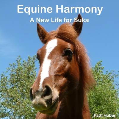 Equine Harmony A New Life for Suka - Patti Huber