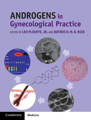 Androgens in Gynecological Practice - 