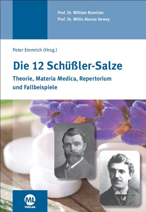 Die 12 Schüssler-Salze - William Boericke, Willis Alonso Dewey