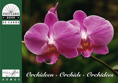 Orchideen, Orchids, Orchidêes - 