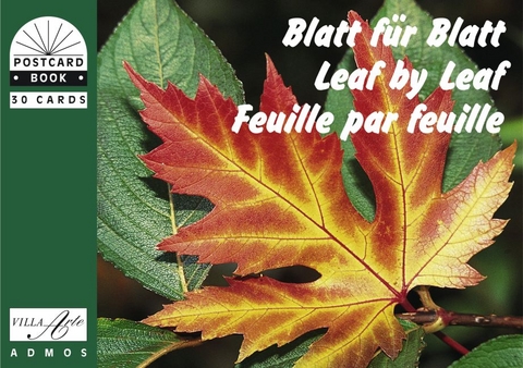 Blatt für Blatt /Leaf by Leaf /Feuille par Feuille - 