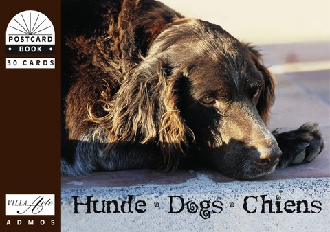 Hunde /Dogs /Chiens - 