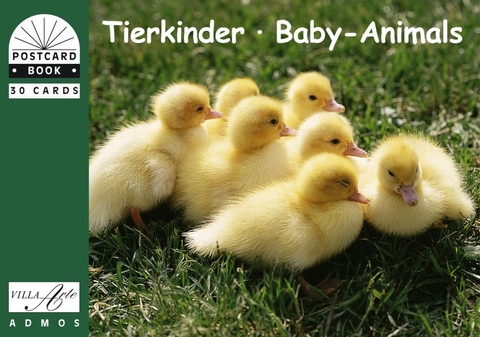 Tierkinder /Baby-Animals - 