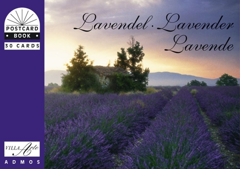 Lavendel, Lavender, Lavende - 