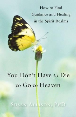 You Don't Have to Die to Go to Heaven - Susan Allison