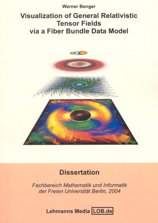 Visualization of General Relativistic Tensor Fields via a Fiber - Werner Benger