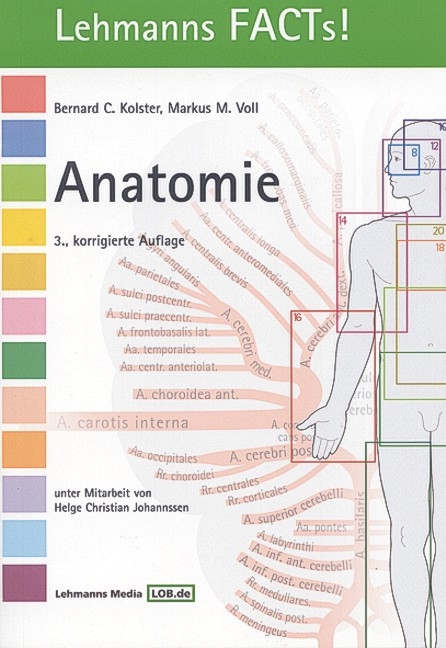 Anatomie - 