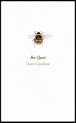 Bee Quest -  Dave Goulson