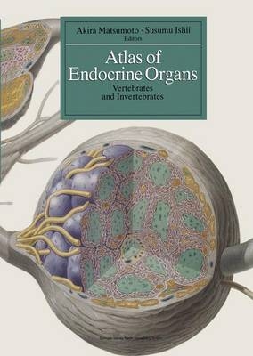 Atlas of Endocrine Organs - 