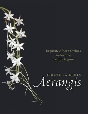 Aerangis - Isobyl La Croix