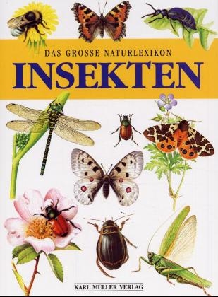 Insekten - 