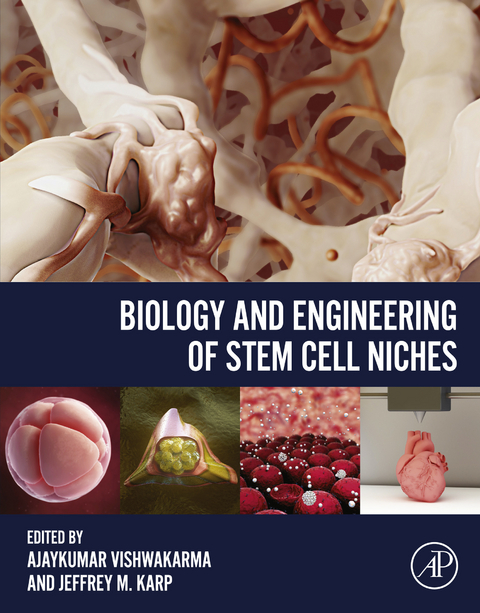 Biology and Engineering of Stem Cell Niches - 