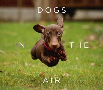Dogs in the Air -  Jack Bradley