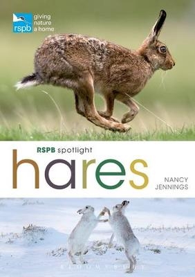 RSPB Spotlight Hares -  Jennings Nancy Jennings