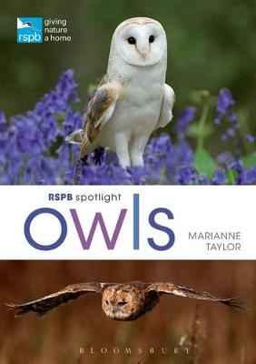 RSPB Spotlight Owls -  Taylor Marianne Taylor