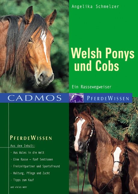 Welsh-Ponys und Cobs - Angelika Schmelzer