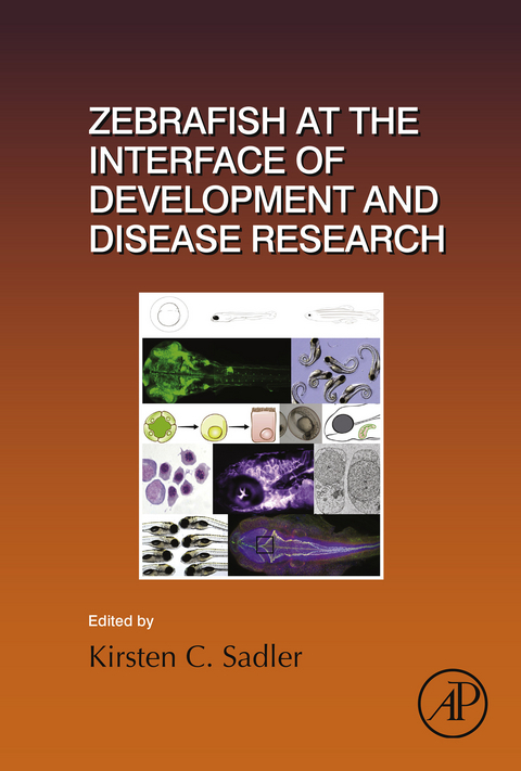 Zebrafish at the Interface of Development and Disease Research - 