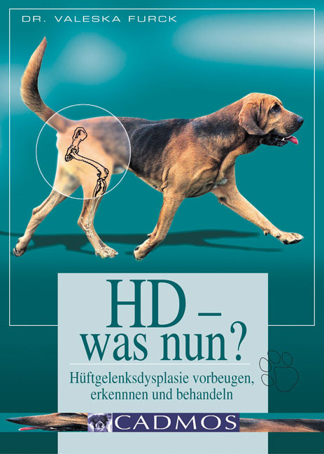 HD - Was nun? - Valeska Furck