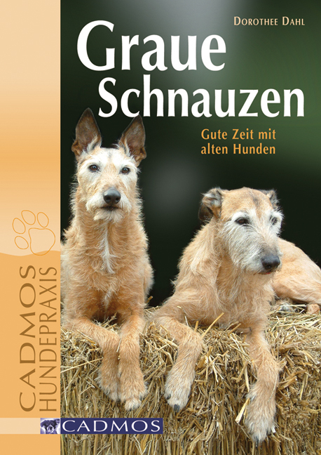 Graue Schnauzen - Dorothee Dahl