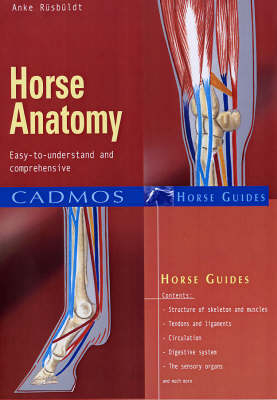 Horse Anatomy - Anke Rüsbüldt