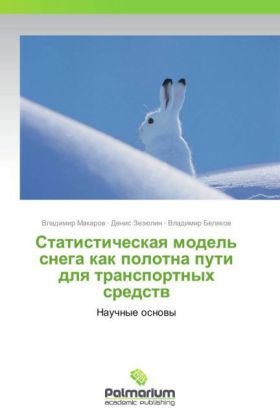Statisticheskaq model' snega kak polotna puti dlq transportnyh sredstw - Vladimir Makarow, Denis ZezÃ¼lin, Vladimir Belqkow