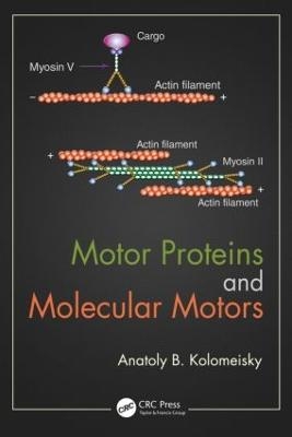 Motor Proteins and Molecular Motors - Anatoly B. Kolomeisky