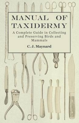 Manual of Taxidermy - A Complete Guide in Collecting and Preserving Birds and Mammals - C J Maynard