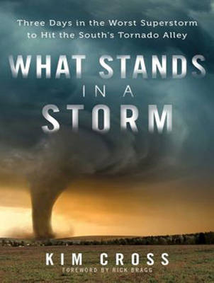 What Stands in a Storm - Kim Cross