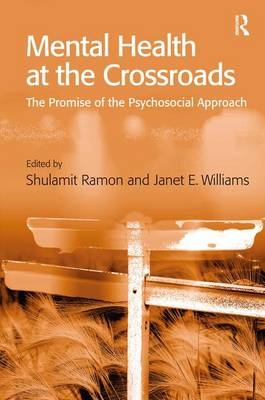 Mental Health at the Crossroads -  Janet E. Williams