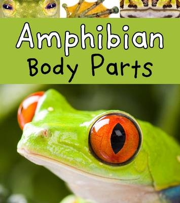Amphibian Body Parts - Clare Lewis