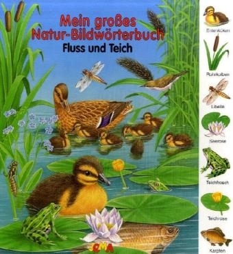 Mein großes Natur-Bildwörterbuch - Fluss und Teich - 