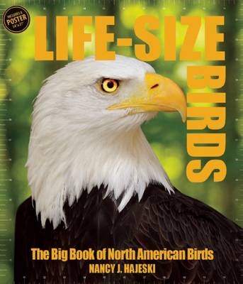 Life Size Birds - Nancy J Hajeski