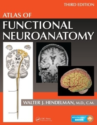 Atlas of Functional Neuroanatomy - M.D. Hendelman  Walter