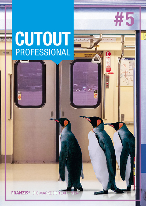 CutOut professional #5 (Win & Mac)