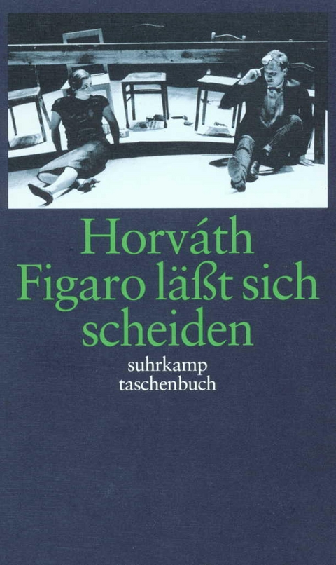 Gesammelte Werke. Kommentierte Werkausgabe in 14 Bänden in Kassette - Ödön von Horváth