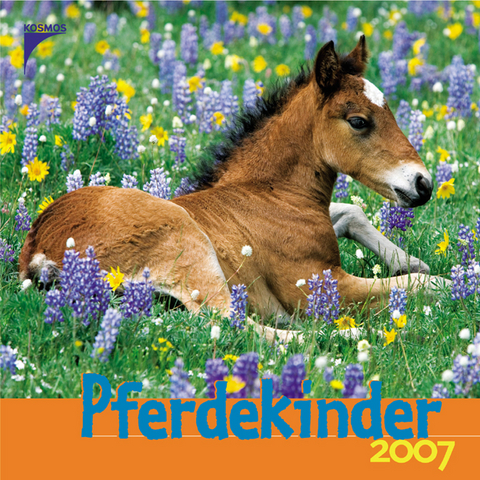 Pferdekinder 2007