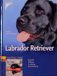 Labrador Retriever - Brigitte Rauth-Widmann