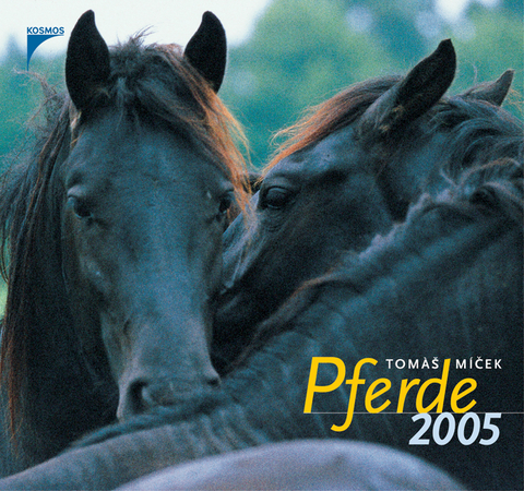 Pferde 2005